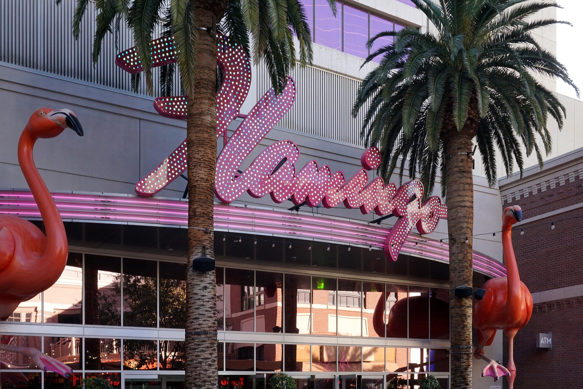 Flamingo